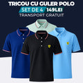 NEGRU - BLEUMARIN - VERDE DESCHIS - ALBASTRU DESCHIS - TRICOU CU GULER POLO