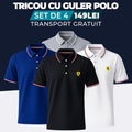 NEGRU - ALB - GRI - BLEUMARIN - TRICOU CU GULER POLO