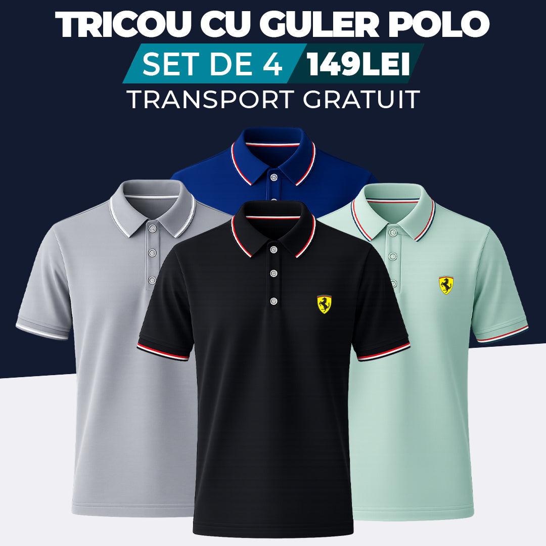NEGRU - GRI - BLEUMARIN - VERDE DESCHIS - TRICOU CU GULER POLO